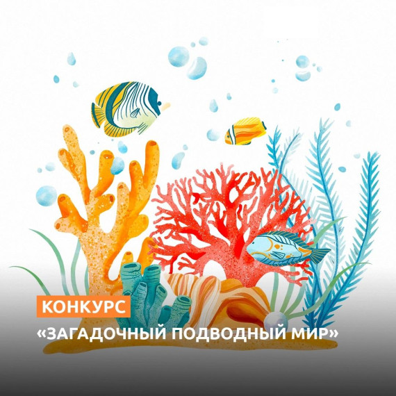 Подводный мир.