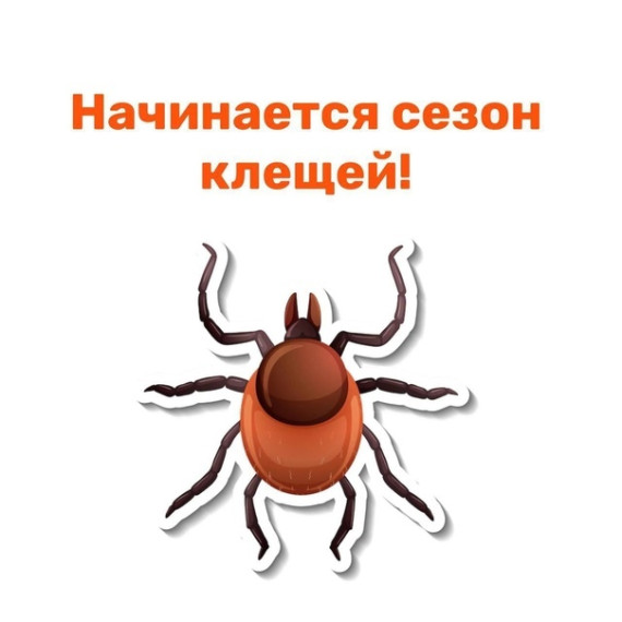 Сезон клещей.